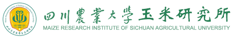 四川农业大学玉米研究所
